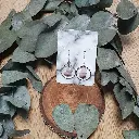 20230830_204640.webp